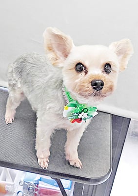 源川源之介ちゃん