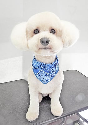 有村ルークちゃん