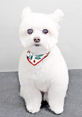 中村ココちゃん