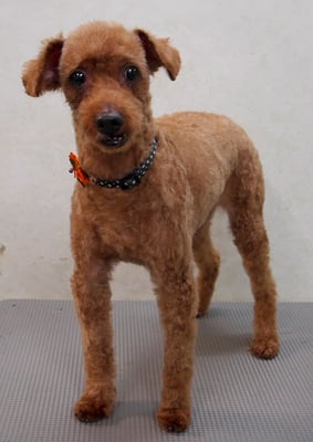 前田ソルファちゃん