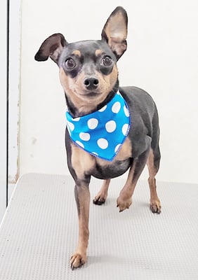 宮下ティノちゃん