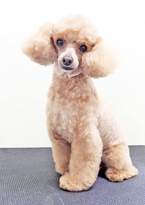 森崎ネネちゃん