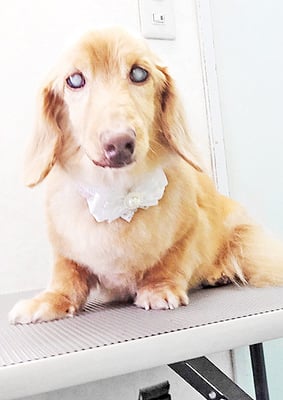 前薗パルちゃん