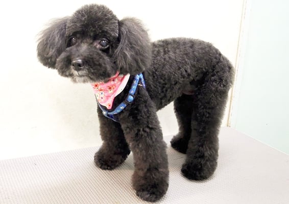 中井ヒナちゃん