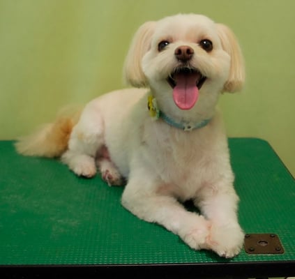 大脇ココアちゃん