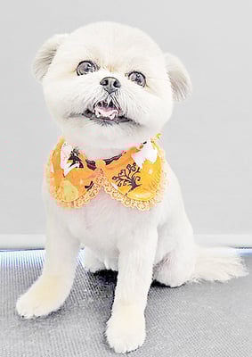 太崎ちゅらちゃん