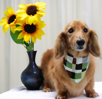 﨑戸ジュリアちゃん