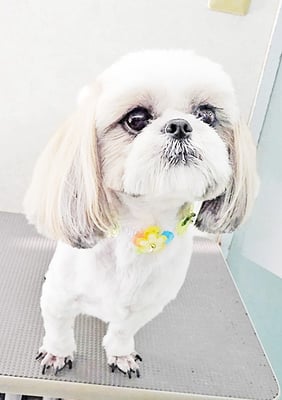 久永ナルちゃん