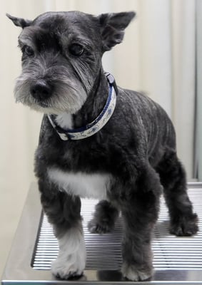 蔵薗ヒメちゃん