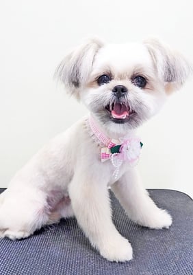 太崎ちゅらちゃん