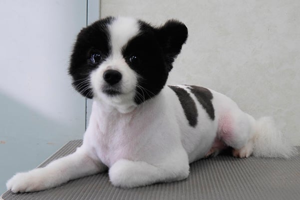 森崎マリアンちゃん