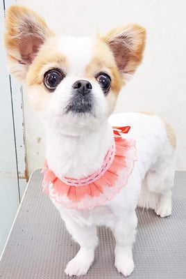 福永ハルちゃん