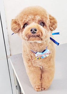 二見りくちゃん