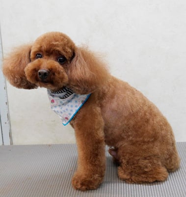 迫田リクちゃん