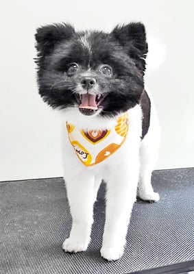 後藤小雨ちゃん