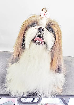 眞邉ももちゃん