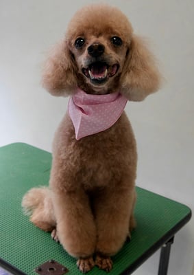 平松クーちゃん