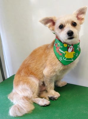 上山英斗ちゃん