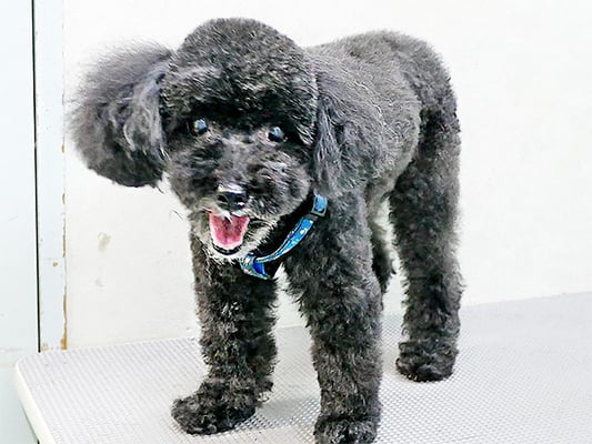 中井ヒナちゃん