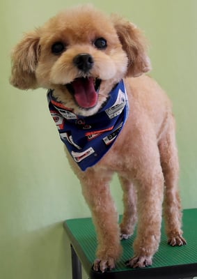 山下イヴちゃん