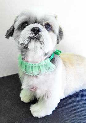 有馬陸斗ちゃん