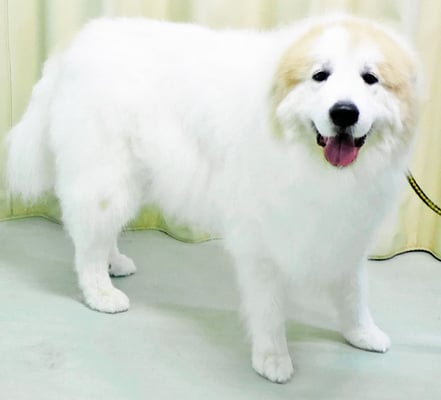 田代メイちゃん