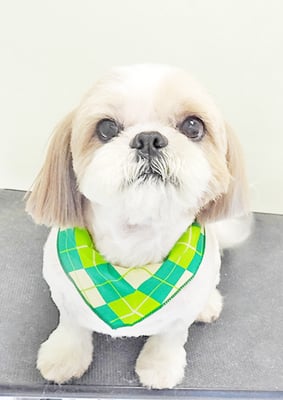 並木ランちゃん