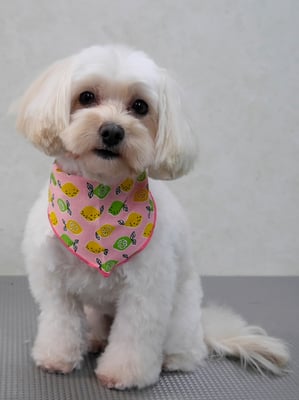 濱島クレアちゃん