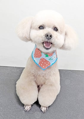 肥田クゥちゃん