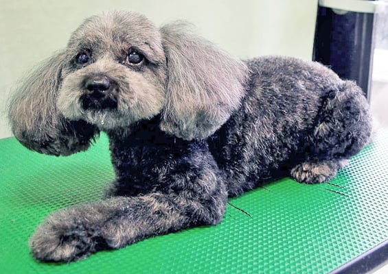 森崎ラブちゃん