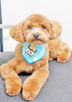 坂元むぎちゃん