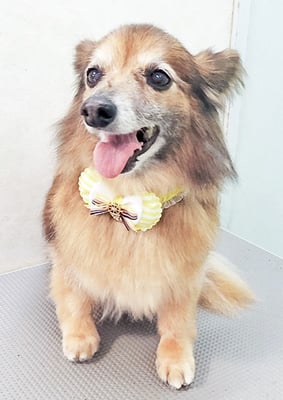 田島ベリちゃん