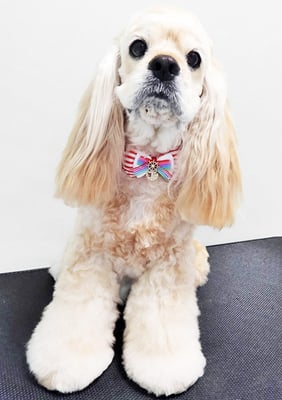 福富ベリーちゃん