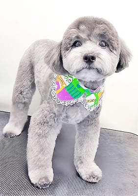 菅原そらちゃん