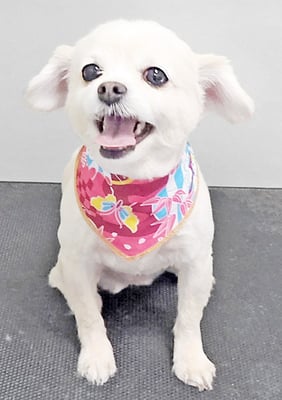 酒井ヒナちゃん