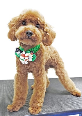 大山弦之介ちゃん