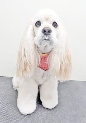 福富ベリーちゃん