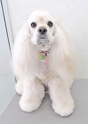 福富ベリーちゃん