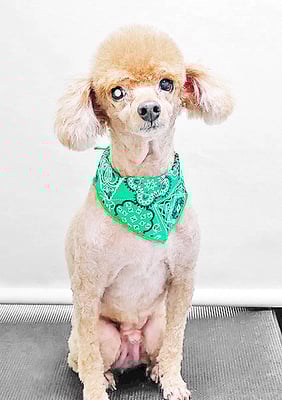 瀬戸口ルイちゃん