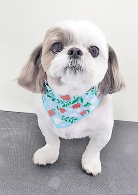 中川ココちゃん