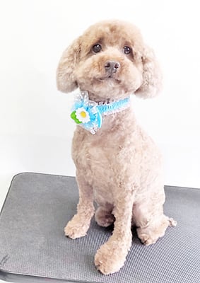 山元風介ちゃん