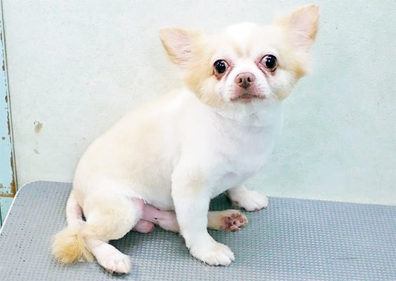 尾﨑コタロウちゃん