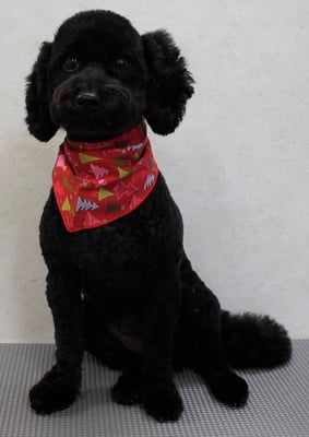 竹内すみれちゃん