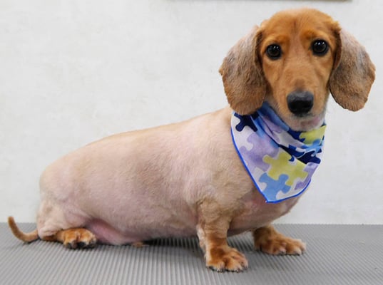 宮原ライちゃん