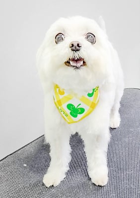 竹内ゆりちゃん