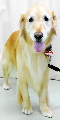 美代ジューンちゃん