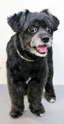 濵田リヨンちゃん