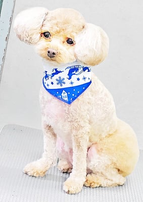 岩元ナノちゃん