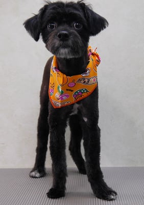 濵田リヨンちゃん