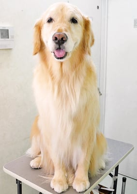 美代ジューンちゃん